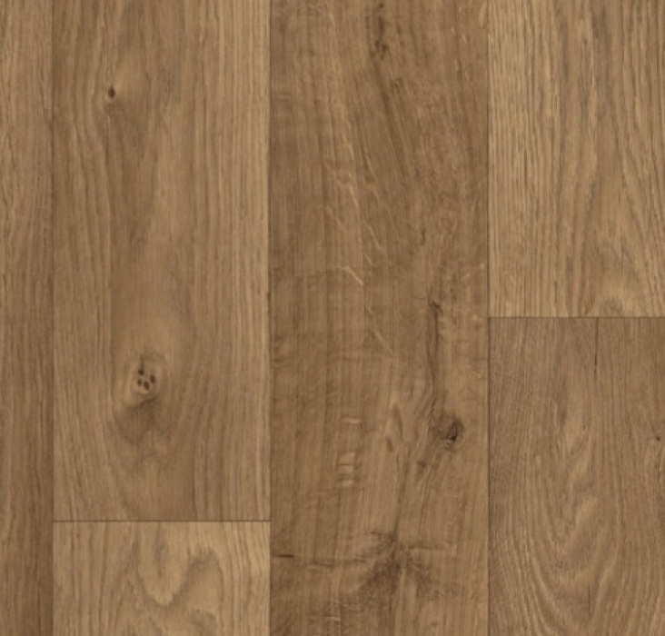 Elast 70 Contract 49